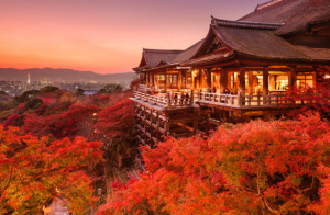 【2026最新】秋の京都・紅葉穴場スポット3選!人混みを避けて絶景を楽しむ裏ワザも伝授
